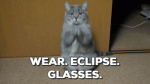 eclipse glasses.gif eclipse glasses.gif