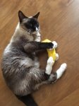 beenie banana1.JPG