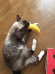 beenie banana.JPG