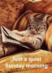 quiet sunday morning.jpg
