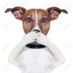 no loud barking.jpg