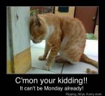 not monday again.jpg not monday again.jpg