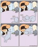 cat sleeping on head.jpg