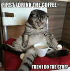 cat drinking coffee.png