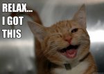 relax I got this cat.jpg