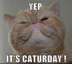 Caturday.jpg