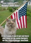 cat labor day.jpg