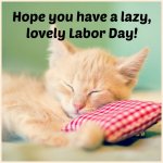 lazy labor day.jpg