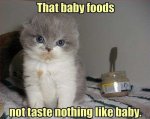 cat eating baby food.jpg