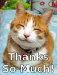cat thanks.jpg