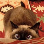 keeping an eye on us.jpg