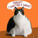 turkey.jpg