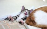 big stretches.jpg