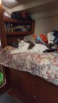 20170812_100913.jpg