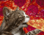 IMG_4721.GIF