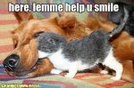 help you smile.jpg