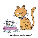 public pools for mice.jpg