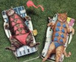 sunning.JPG