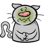 cst tummy ache.jpg
