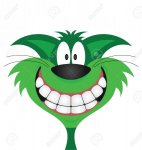 green cat.jpg