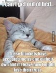 can't get out of bed.jpg