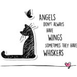 cat-angel.png