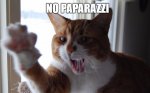 no pictures.jpg