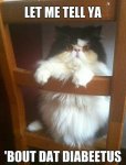 cat diabets.jpg