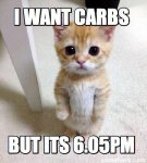 cat-carbs-image.jpg