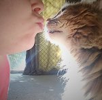 51D15167-17BF-426C-98A0-F64BB12D1F87.jpg