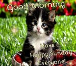 Happy Sunday.jpg