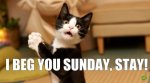 stay Sunday.jpg
