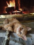 fireplace.jpg