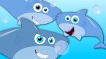 sharks.jpg