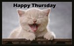 happy thursday.jpg