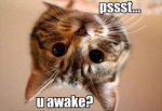 you awake.jpg
