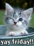 yay friday.jpg