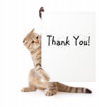 CatThankyouannoymous.jpg