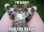 belly rub ready.jpg
