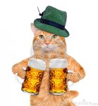 cat-beer-mug-oktoberfest.jpg