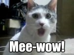 mee wow.jpg