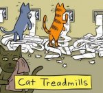 cats-on-treadmills-cartoon.jpg