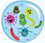 darn antibodies.jpg