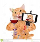 cat celebrating.jpg