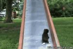 up slide.jpg