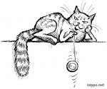 cat yo yo.jpg