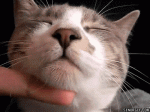 chin.gif