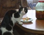 caught.jpg
