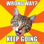 wrong-way-keep-going.jpg