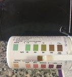 Tigger Keytones Test 9-28-17.jpg